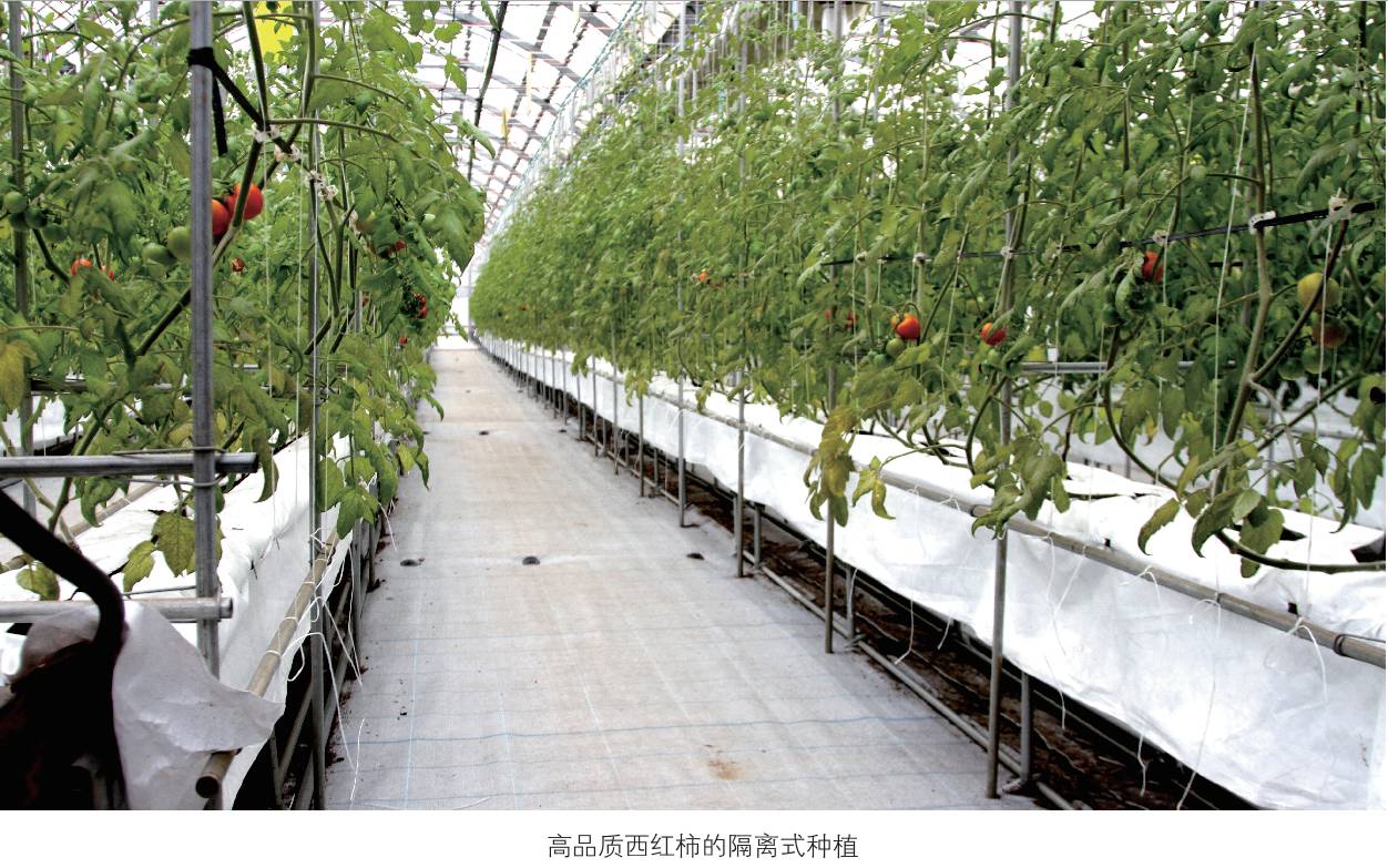 印象日本:“岛国”农业为什么能做得风生水起?