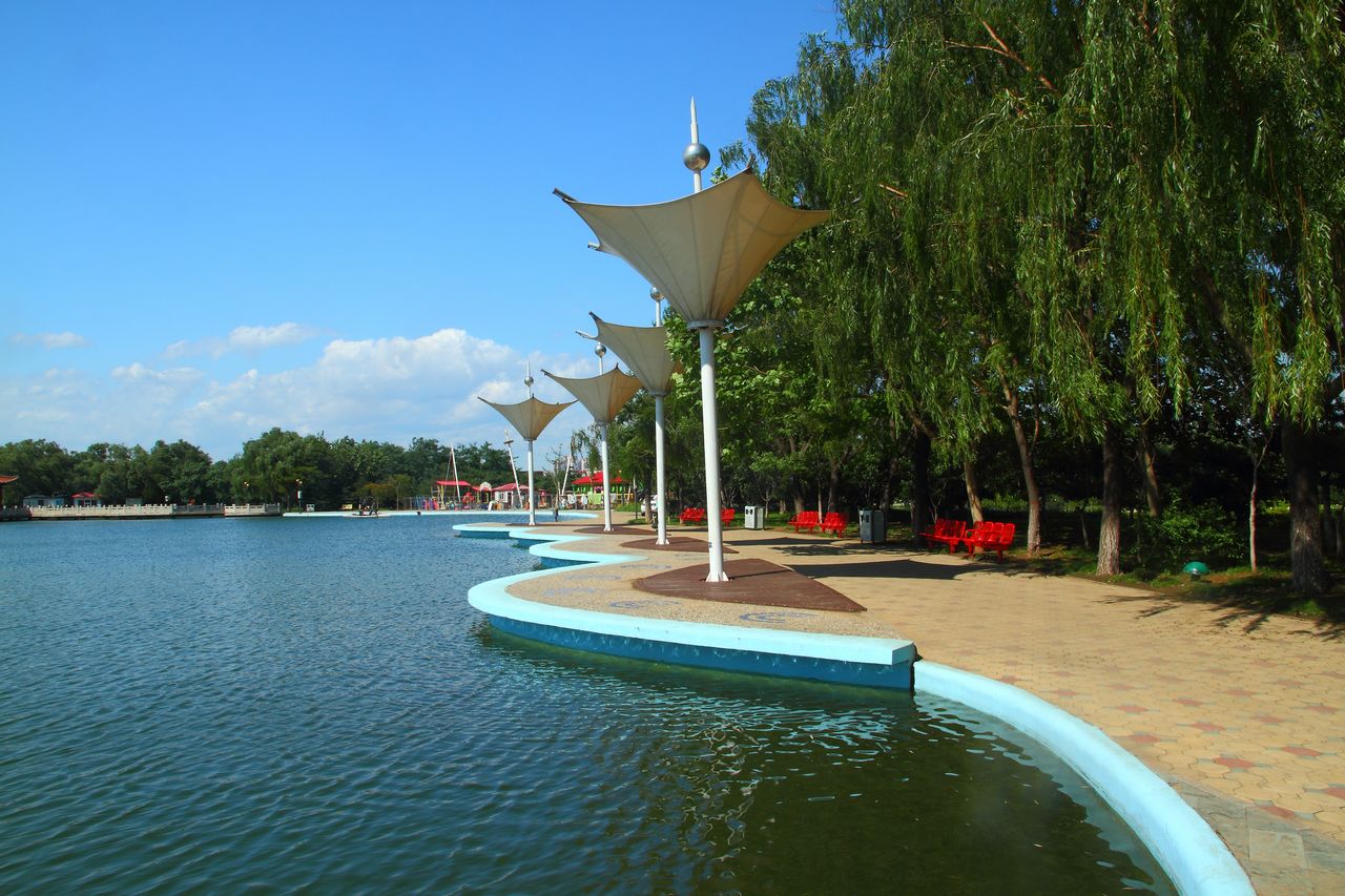 秦皇岛适合带狗去的地方,北戴河的民宿带狗的可以去吗