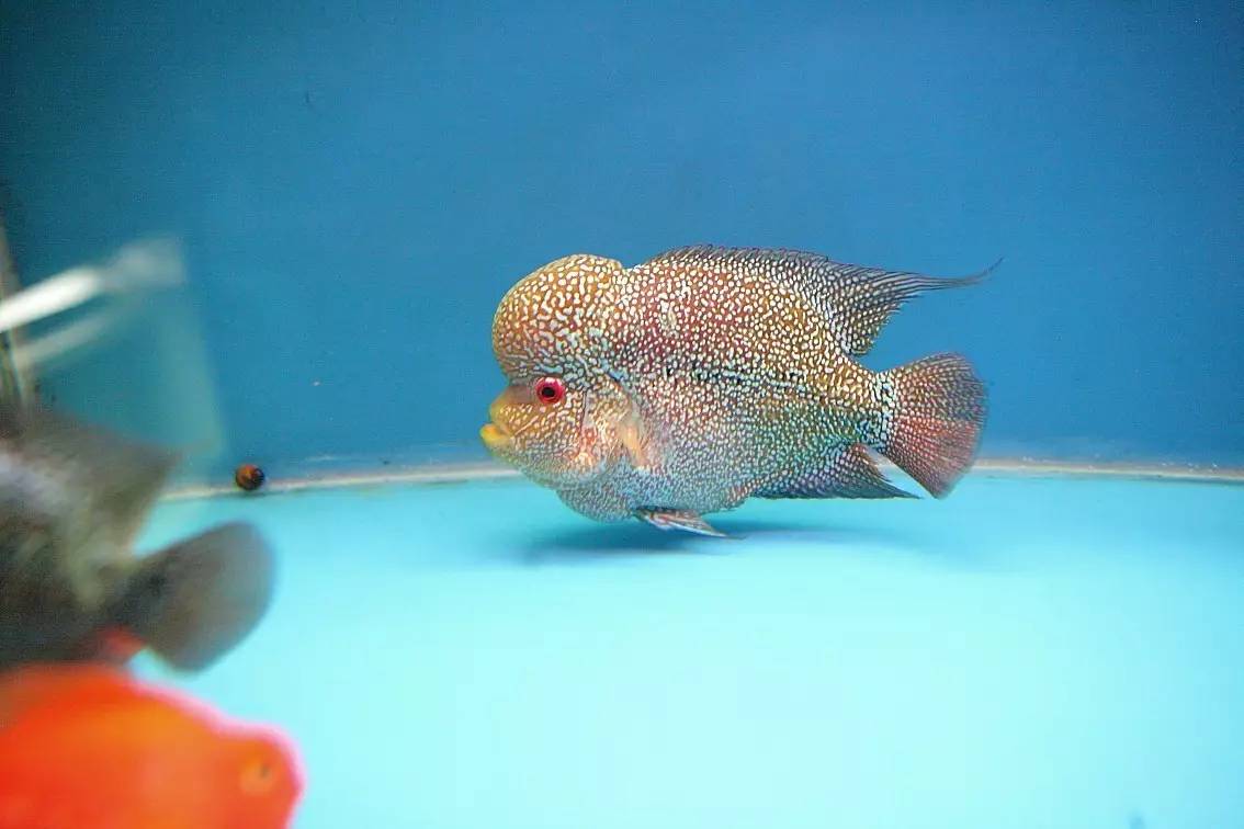 手把手教你如何正确消毒,用什么消毒对冠状病毒有效