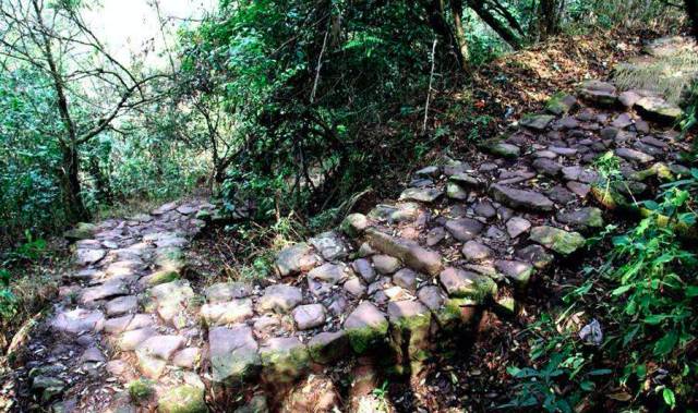 景迈山04｜远上茶山石径斜