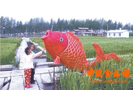米稻乡：用行动构筑食安梦