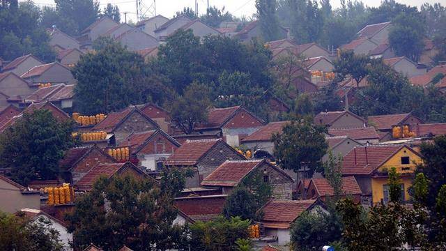 美丽乡村永丰镇三元村,2024年源泉镇西高村