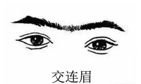 什么样的眉毛可以带来好运,交连眉与连心眉区别