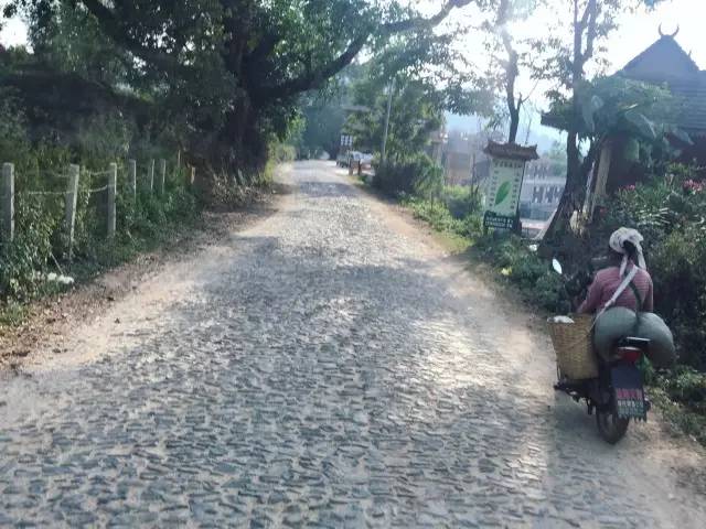 景迈山04｜远上茶山石径斜