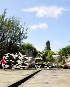 「看定安|节气」立秋之后,炎热依旧,来一场说走就走的避暑之旅吧!