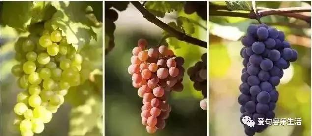 假如句容也有朋友圈，她的故事你一定猜不到……