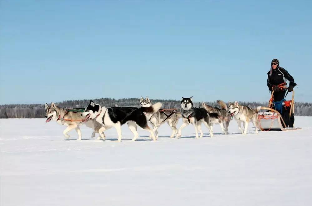 1万人民币可以在芬兰生活多久,去芬兰旅行要多少人民币