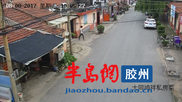 胶州警方打掉7人流窜盗窃团伙,胶州警方揪出盗窃案贼手