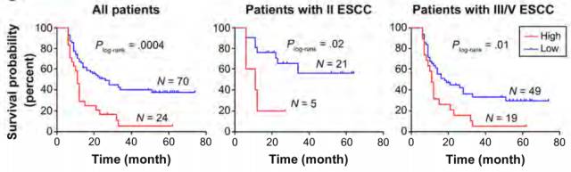 顶级期刊发文！中国科学家在食管癌领域取得重大突破，“搞定食管癌，还是得靠我们中国自己的科学家”｜科学大发现