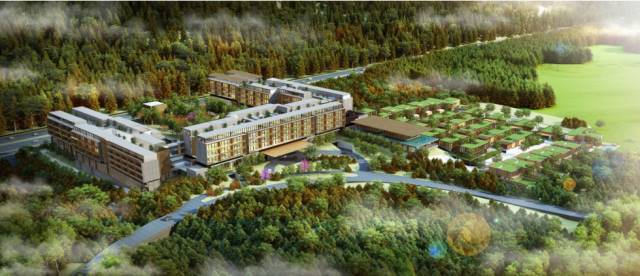 成都市2024重点项目详细清单公布,成都好耍的项目