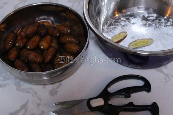 干煸蚕蛹的教程视频,干煸蚕蛹老东北