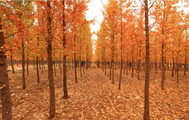 原创｜烟台一年最嗨的日子来了！即将开海，这些图却火了
