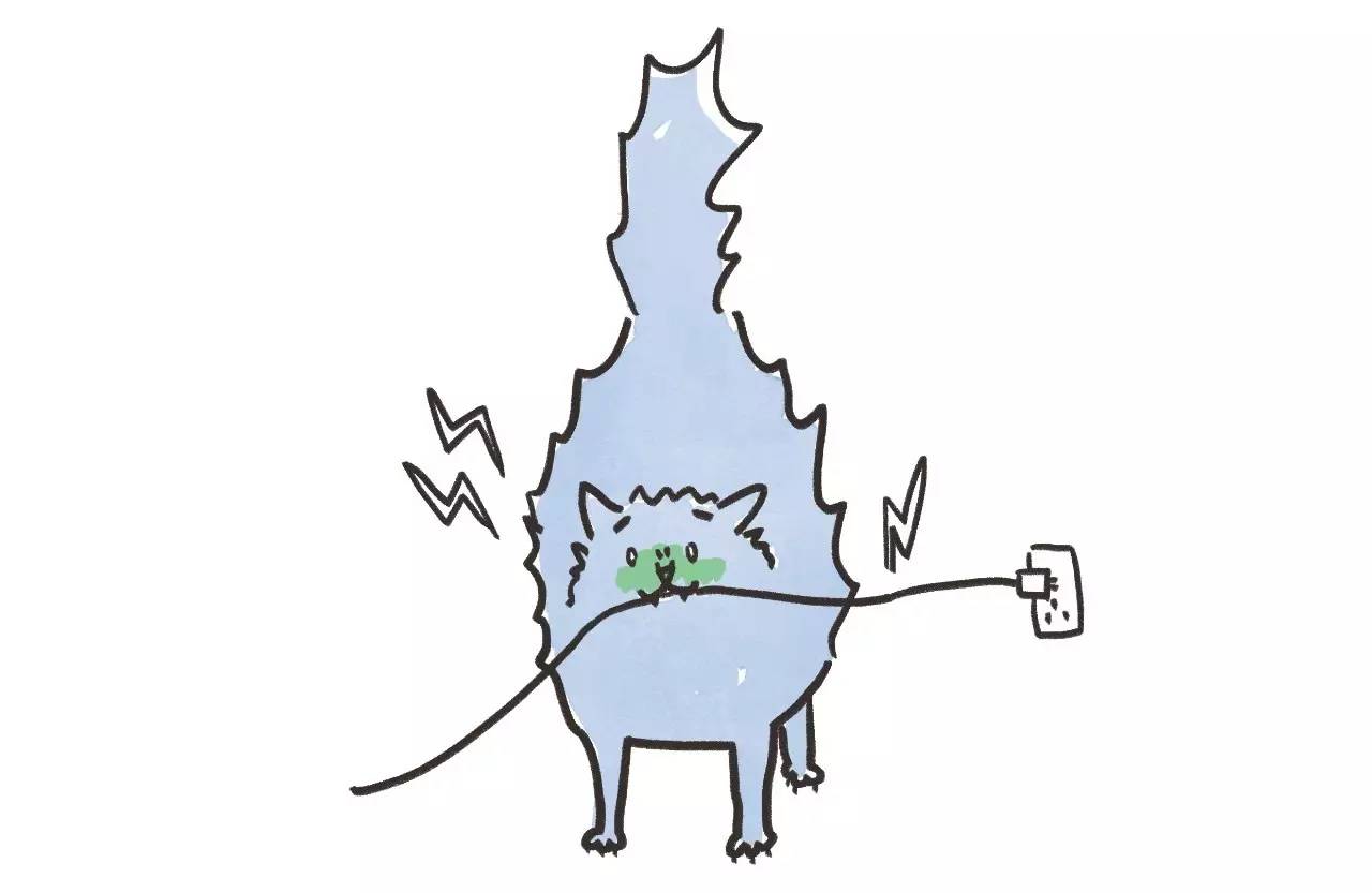 救命啊!主子溺水、触电、中毒了怎么办?!丨强档