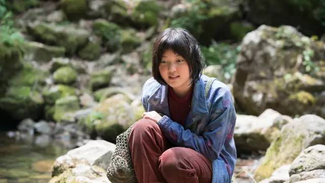 玉子深度解析,玉子讲了什么