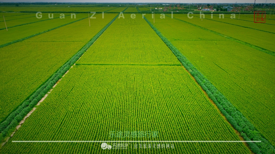 亚洲最大的天然红地毯,世上最出名的红地毯