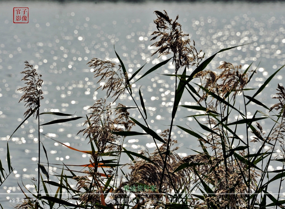 亚洲最大的天然红地毯,世上最出名的红地毯