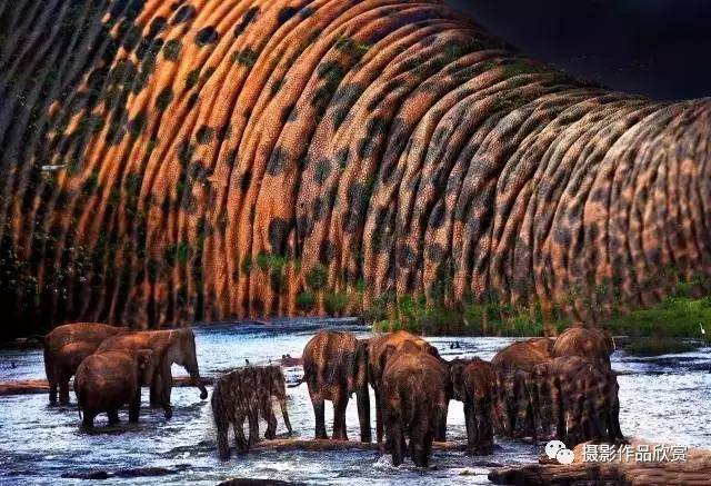 摄影师张艳画意摄影,摄影师人物摄影作品