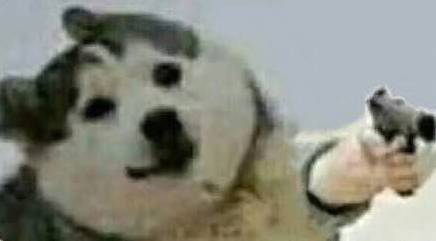 写给我男朋友的七夕送礼指南,分手了七夕送什么礼物挽留