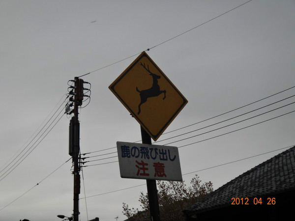 日本7天自由行跟团,日本7天自由行大约需要多少钱