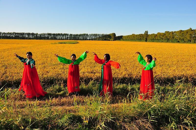 豆瓣日记散文,豆瓣日记本