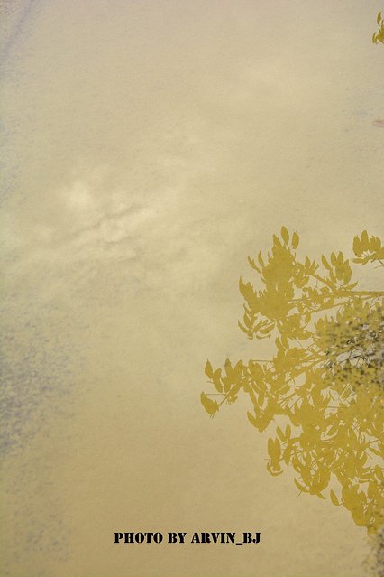 情迷刺桐海上丝路的风情万种