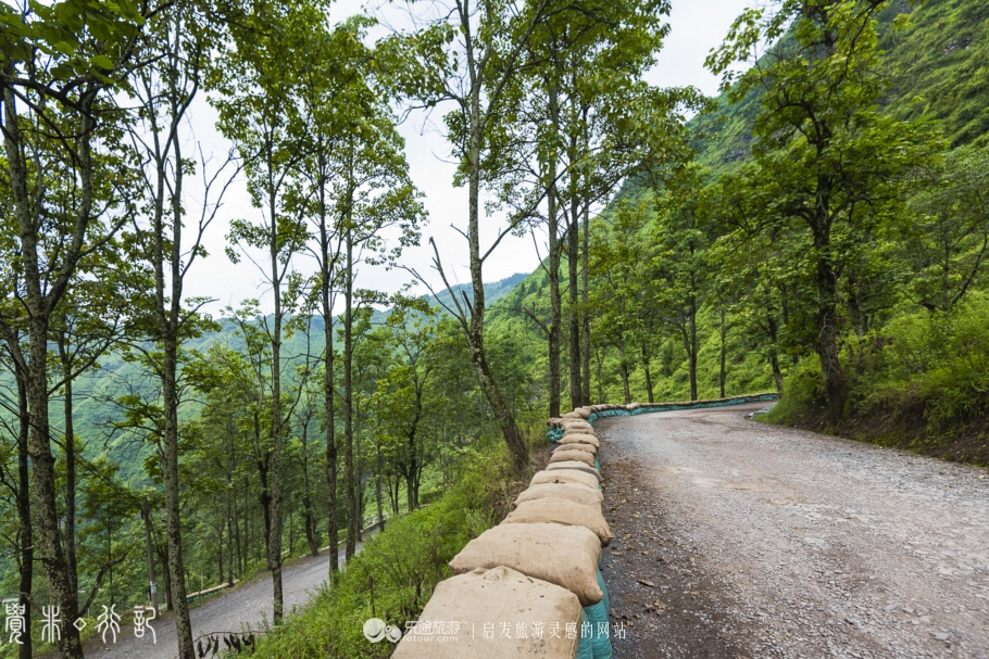 二十四道拐布谷鸟完整版,关山二十四道拐