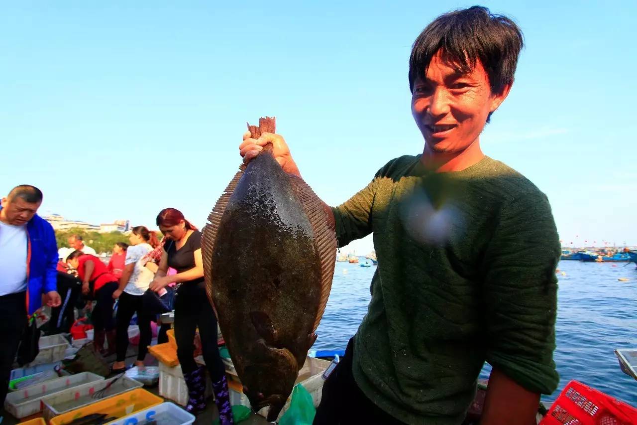开海最新海鲜,开海时海鲜价