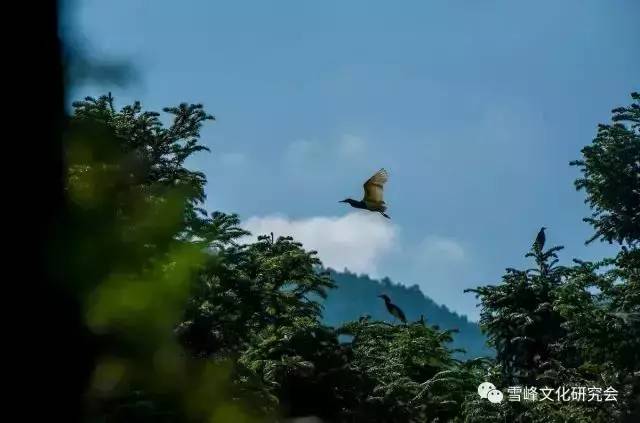 “雪峰山旅游扶贫新变化”采风活动佳作之七：那山那人