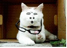 重磅！嘉定13所建设中的学校最新进度大公开！7所确定今年招生！