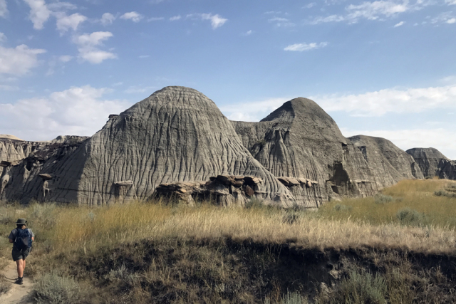 卡尔加里doordash,卡尔加里开飞机