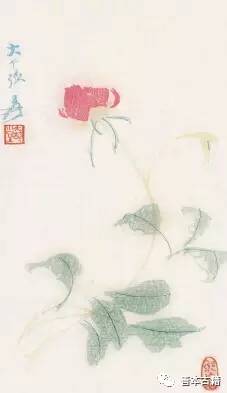 笺纸水墨,笺纸绢纸