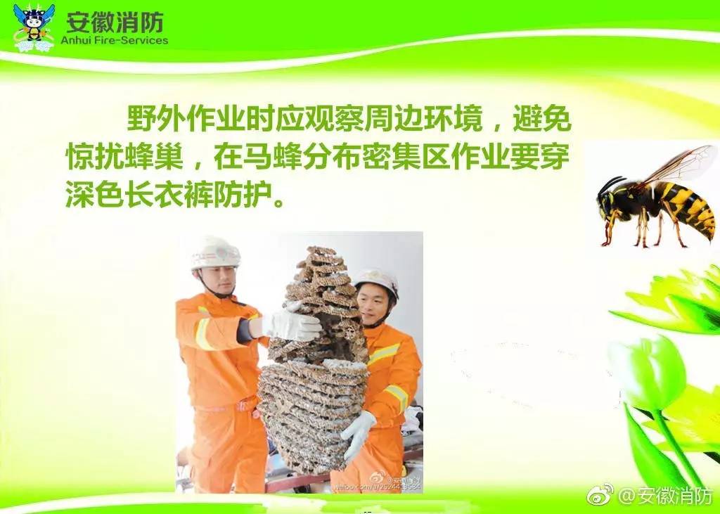 居民屋檐下惊现巨型马蜂窝,居民楼惊现马蜂窝消防队员一窝端