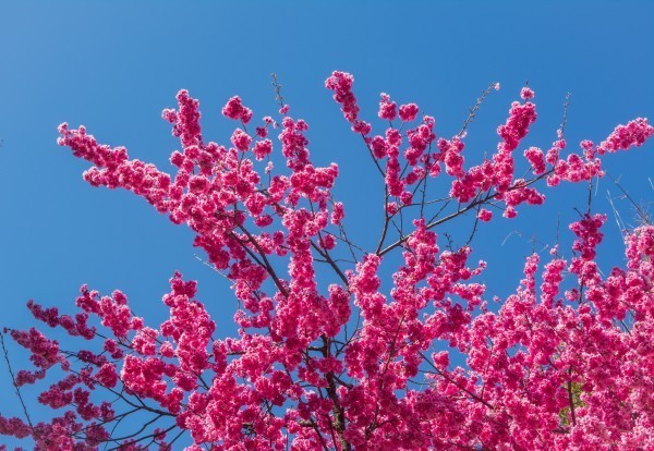 Hi,我是小可，我又回来了，产后第一次出行，娘子军奔赴女儿国