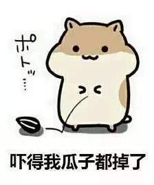 罗晋唐嫣相处时甜蜜细节再曝光,罗晋和唐嫣啥时候开始交往