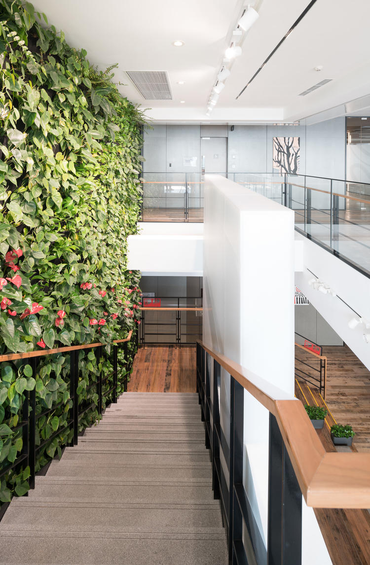 开放式办公室模式,开放式与封闭式办公室