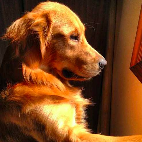 好物节福利,好东西优惠大促