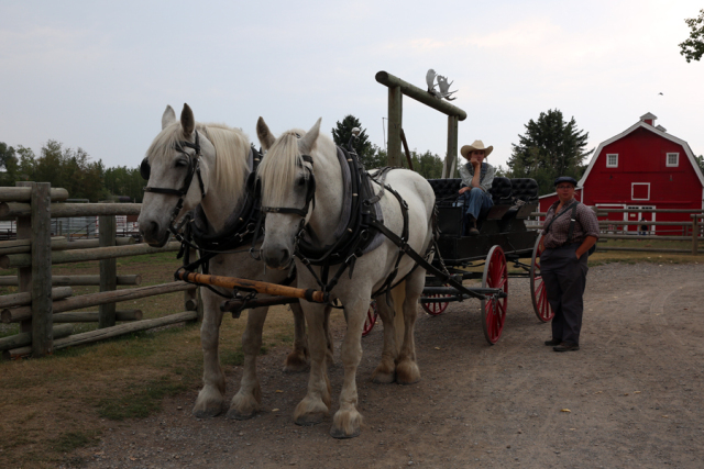 卡尔加里doordash,卡尔加里开飞机