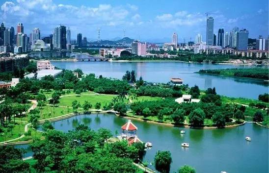 关于金砖你不知道的事,你如何看待金砖