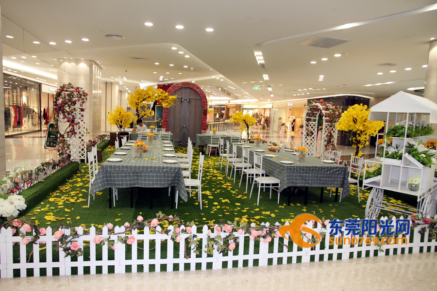 东莞海德壹号广场新开的展会,南城海德壹号广场