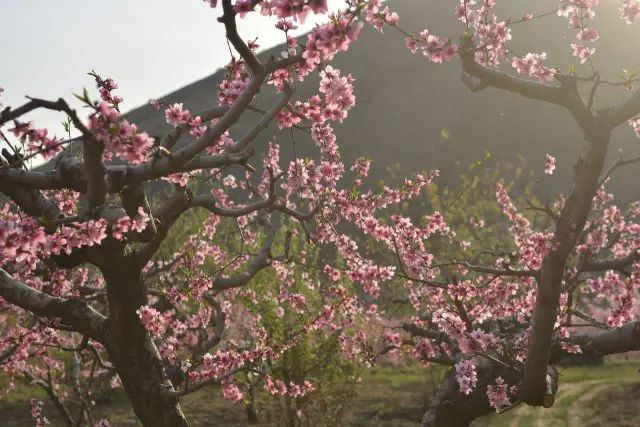 丰润景色好的地方,丰润景色最好的地方