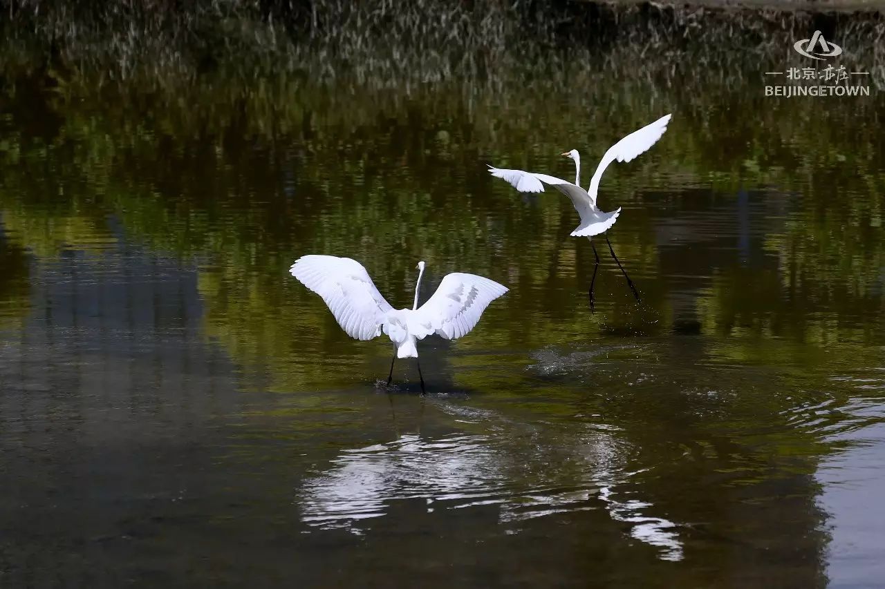 快来领取你的可爱姓氏壁纸,免费领取动态热门主题壁纸