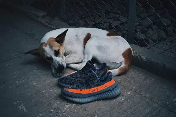 用完神仙水直接用防晒隔离可以吗,神仙水可以用来当防晒吗