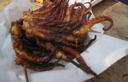 美丽的河口一日游,秋色正好邂逅大美河口