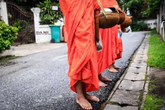 我们相爱吧无尾熊全集,我们相爱吧无尾熊