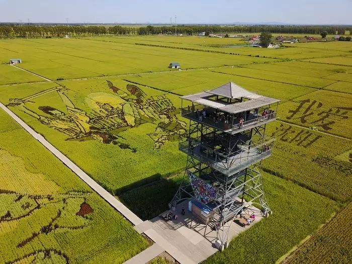 沈阳稻梦空间稻田,沈阳稻梦空间
