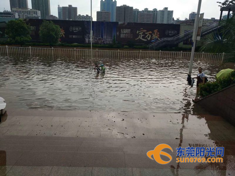 东莞市南城街道淹了没,东莞大雨哪几个镇不会被淹
