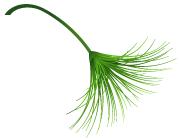 校园最新招聘央企,2018届毕业生央企招聘