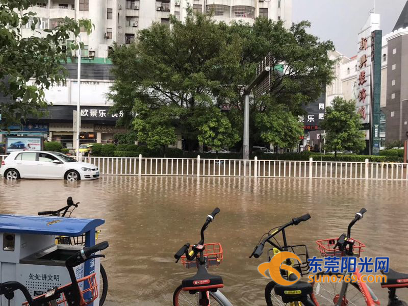 东莞市南城街道淹了没,东莞大雨哪几个镇不会被淹