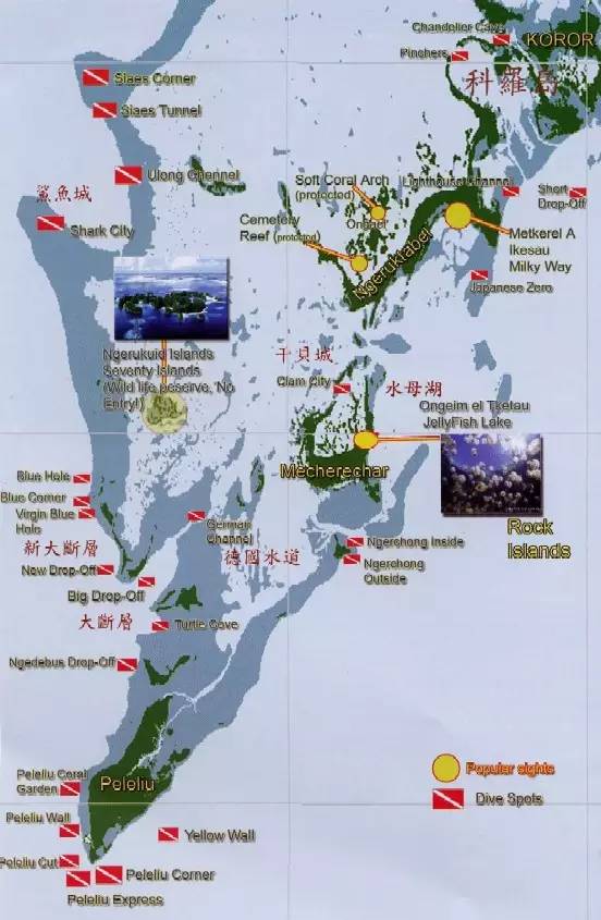 船宿潜水要什么水平,船宿潜水推荐