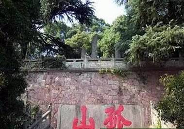 美丽的河口一日游,秋色正好邂逅大美河口